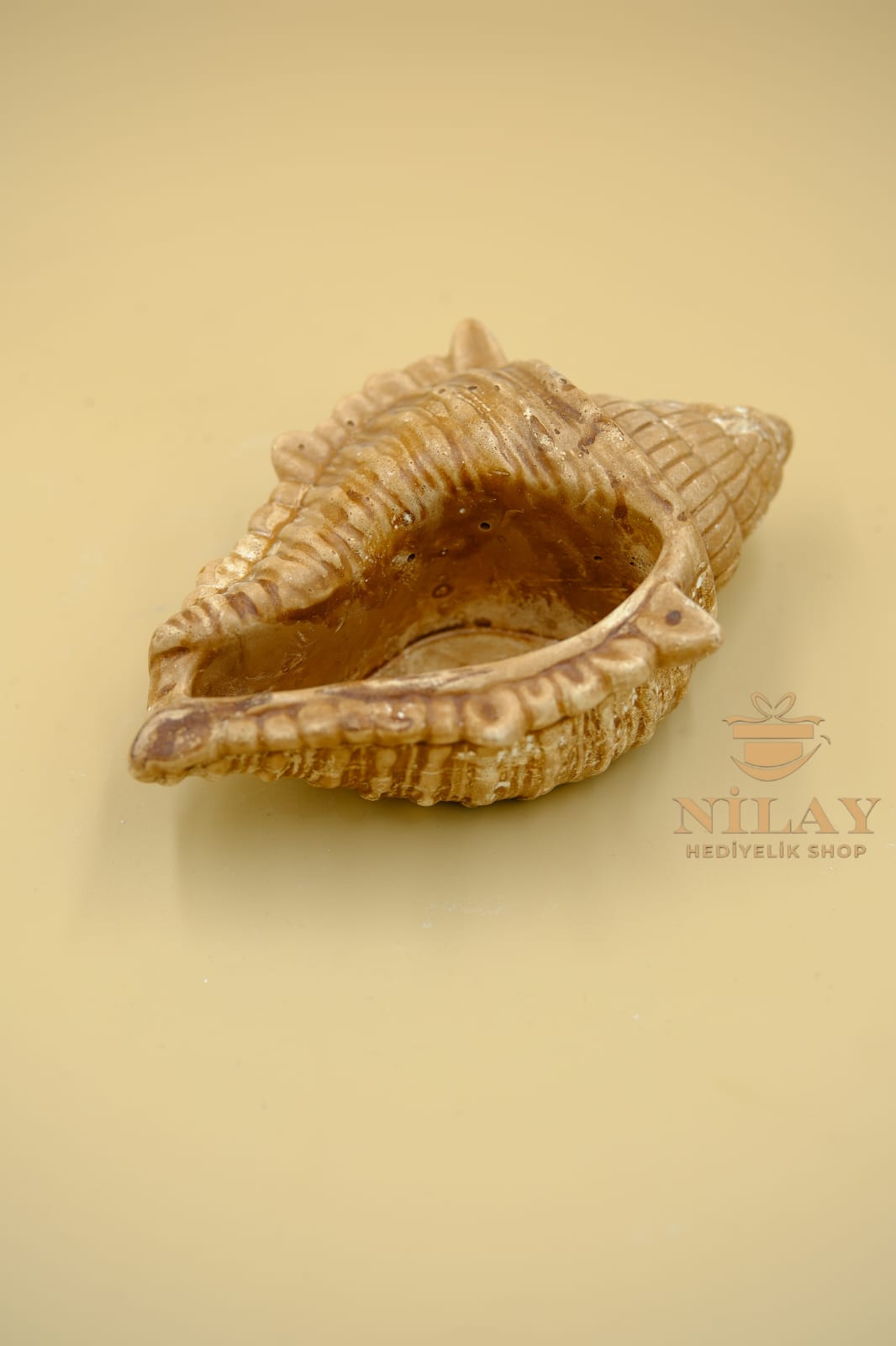 Deniz Kabuğu Mini Saksı