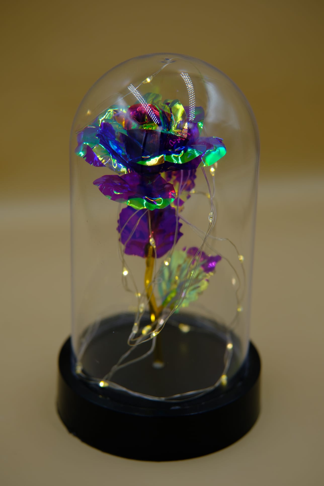 Ledli Fanus İçinde Mor Renk Sonsuz Gül