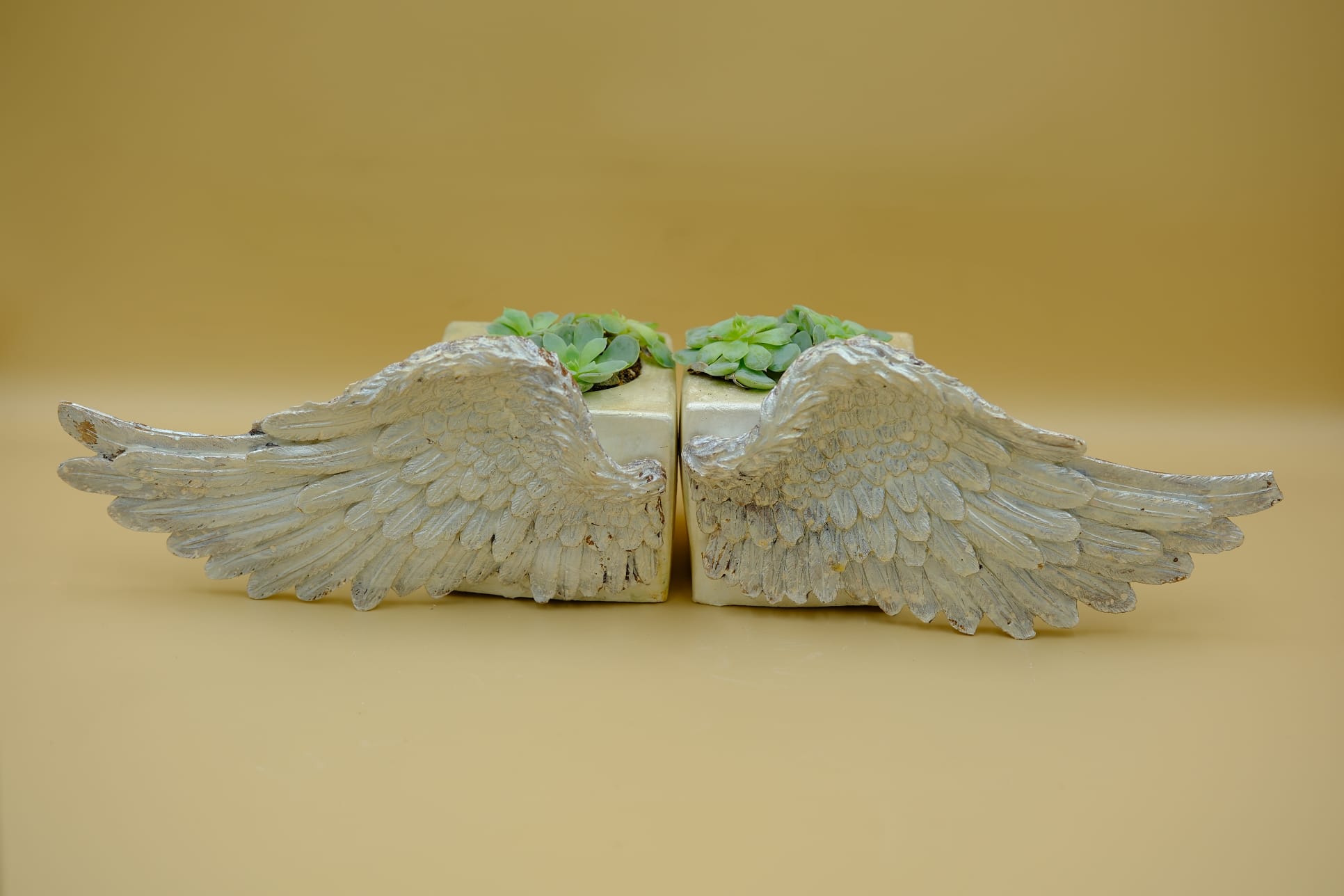 Kanat Detaylı Mini Saksı