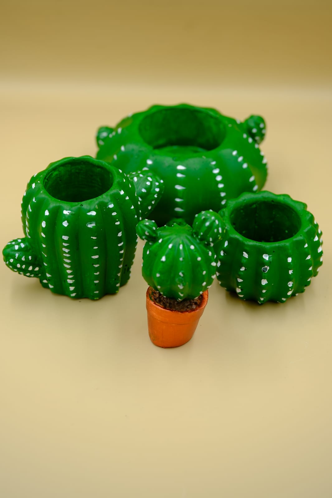 Dekoratif Çok Amaçlı Kaktüs Set