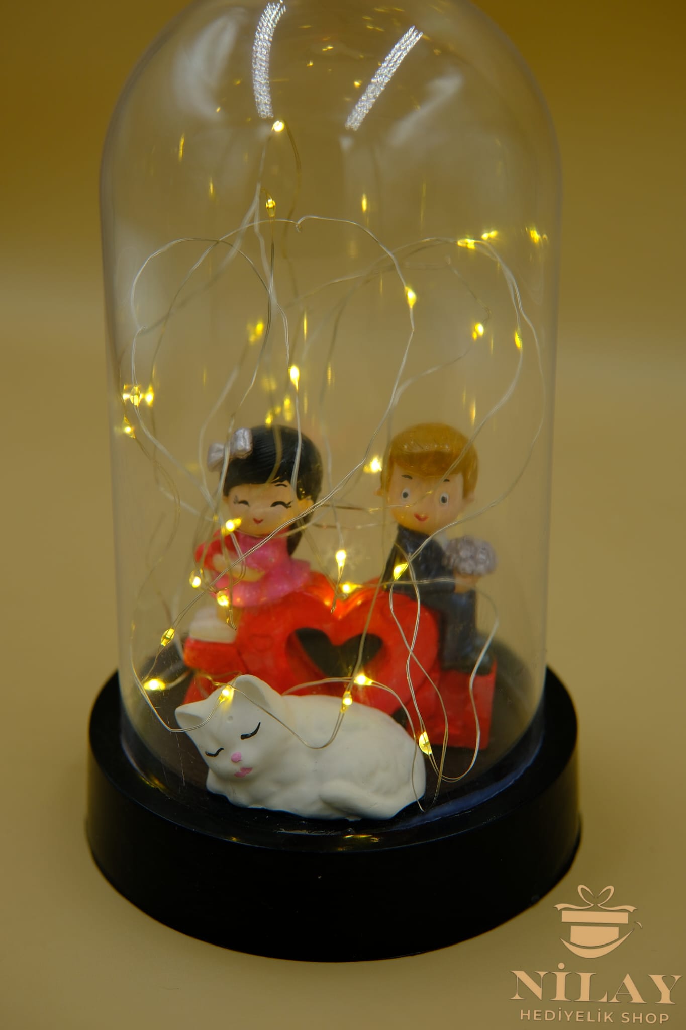 Fanus İçinde Ledli Sevgili Çift