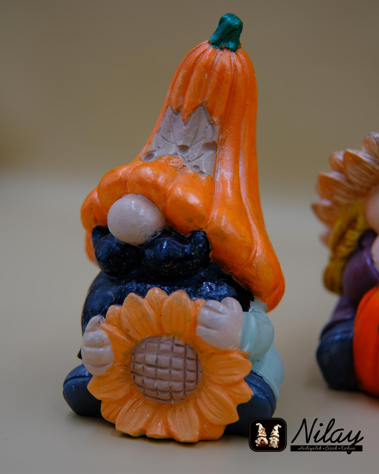 Gnome Bahçe Cüceleri