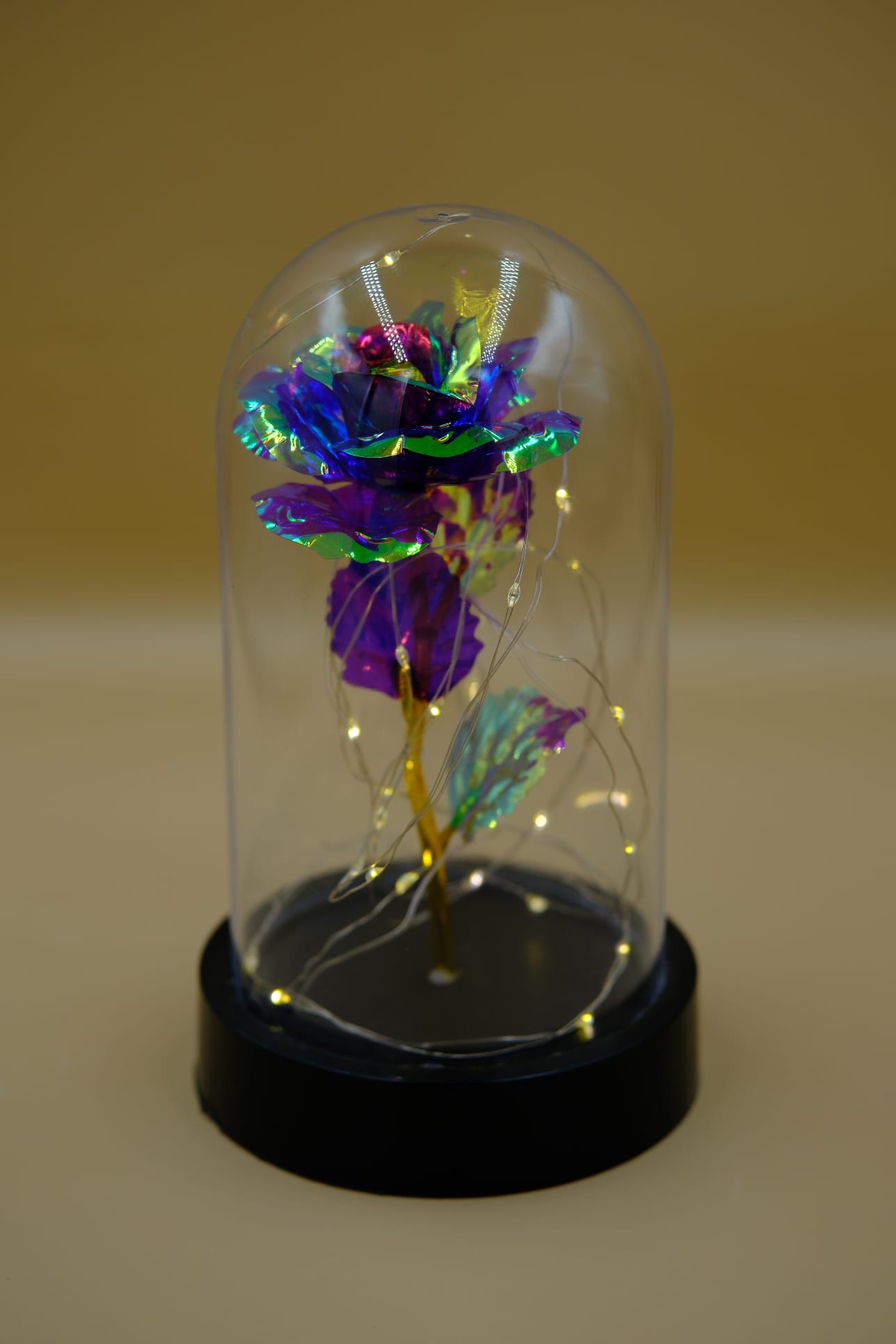 Ledli Fanus İçinde Mor Renk Sonsuz Gül