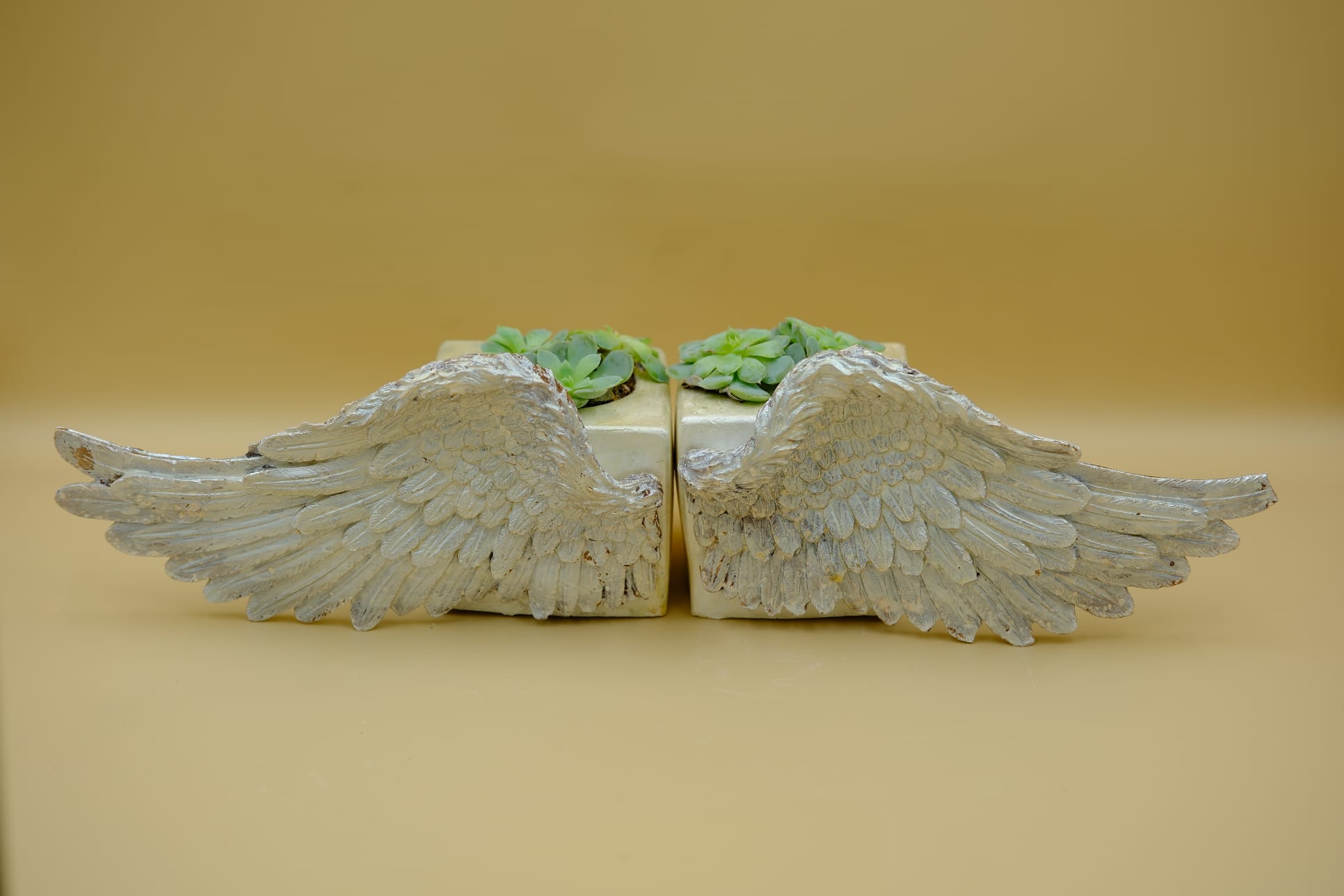 Kanat Detaylı Mini Saksı