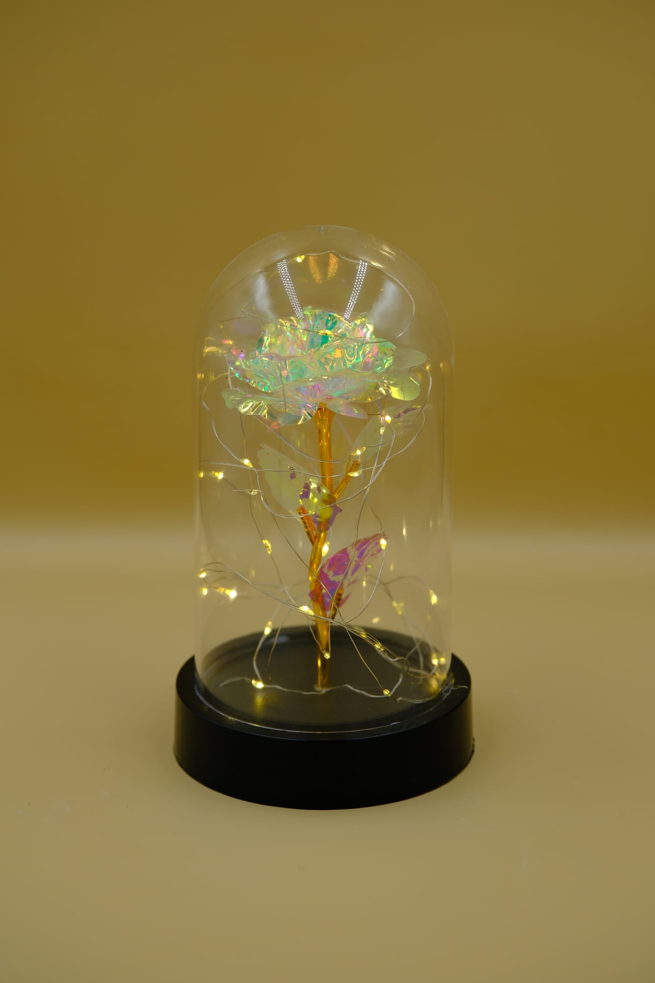 Ledli Fanus İçinde Beyaz Renk Sonsuz Gül